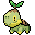 {turtwig}