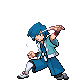 Falkner